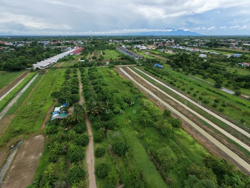 ที่ดินเหมืองง่า ลำพูน, Lamphun, Muang Nga, Muang Lamphun, Lamphun, , 9,120 sqm, Land For Sale, by The Best Property บอย, 500490716 - DDproperty.com