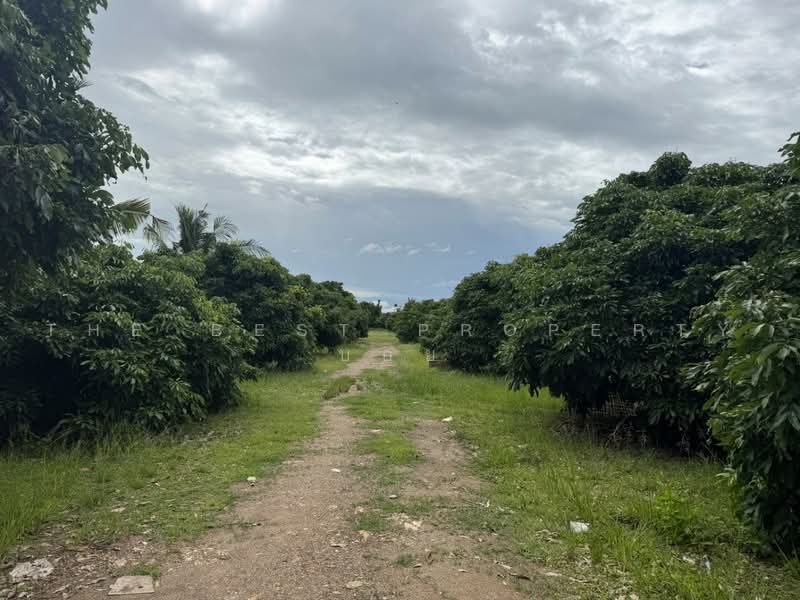 ที่ดินเหมืองง่า ลำพูน, Lamphun, Muang Nga, Muang Lamphun, Lamphun, , 9,120 sqm, Land For Sale, by The Best Property บอย, 500490716 - DDproperty.com
