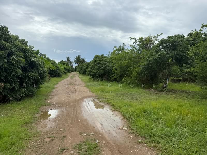 ที่ดินเหมืองง่า ลำพูน, ลำพูน, เหมืองง่า, เมืองลำพูน, ลำพูน, 9,120 ตร.ม., ที่ดิน ขาย, โดย The Best Property  บอย, 500490716 - DDproperty.com