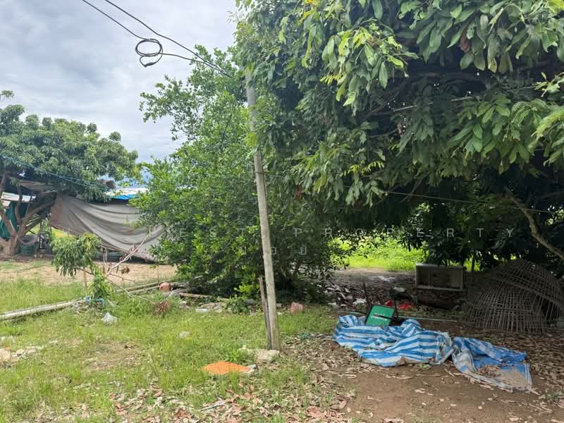 ที่ดินเหมืองง่า ลำพูน, ลำพูน, เหมืองง่า, เมืองลำพูน, ลำพูน, 9,120 ตร.ม., ที่ดิน ขาย, โดย The Best Property  บอย, 500490716 - DDproperty.com