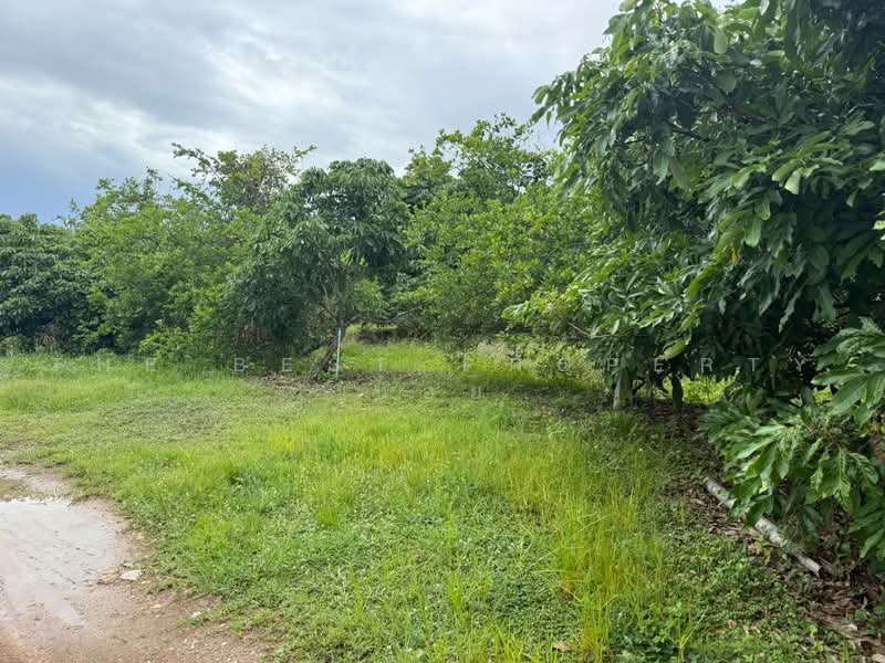 ที่ดินเหมืองง่า ลำพูน, ลำพูน, เหมืองง่า, เมืองลำพูน, ลำพูน, 9,120 ตร.ม., ที่ดิน ขาย, โดย The Best Property  บอย, 500490716 - DDproperty.com