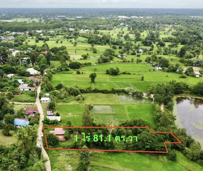ขายบ้านสวน ในเมืองอุบลราชธานี 1 ไร่ 81.1 ตร.ว., อุบลราชธานี, ชยางกูร,พีรพล, ขี้เหล็ก, เมืองอุบลราชธานี, อุบลราชธานี, 1,924 ตร.ม., บ้านเดี่ยว ขาย, โดย วสันต์ วะสะติ, 500490764 - DDproperty.com
