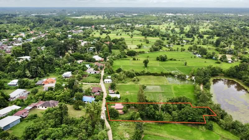 ขายบ้านสวน ในเมืองอุบลราชธานี 1 ไร่ 81.1 ตร.ว., อุบลราชธานี, ชยางกูร,พีรพล, ขี้เหล็ก, เมืองอุบลราชธานี, อุบลราชธานี, 1,924 ตร.ม., บ้านเดี่ยว ขาย, โดย วสันต์ วะสะติ, 500490764 - DDproperty.com