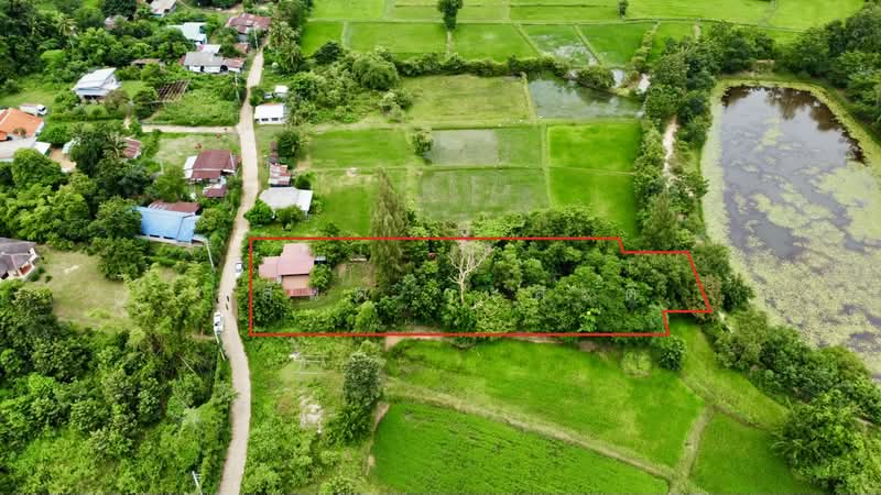 ขายบ้านสวน ต. ขามใหญ่ ในเมืองอุบลราชธานี 1 ไร่ 81.1 ตร.ว, Ubon Ratchathani, ชยางกูร,พีรพล, Ki Lek, Muang Ubon Ratchathani, Ubon Ratchathani, 3 Bedrooms, 1,924 sqm, Single Detached House For Sale, by Wasan Wasati, 500490764 - DDproperty.com