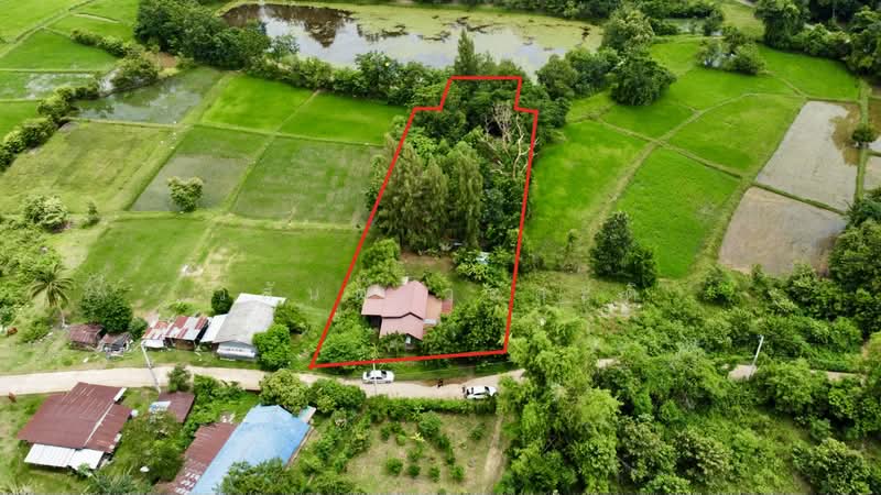 ขายบ้านสวน ในเมืองอุบลราชธานี 1 ไร่ 81.1 ตร.ว, Ubon Ratchathani, ชยางกูร,พีรพล, Ki Lek, Muang Ubon Ratchathani, Ubon Ratchathani, 3 Bedrooms, 1,924 sqm, Single Detached House For Sale, by Wasan Wasati, 500490764 - DDproperty.com