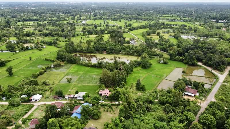 ขายบ้านสวน ในเมืองอุบลราชธานี 1 ไร่ 81.1 ตร.ว., อุบลราชธานี, ชยางกูร,พีรพล, ขี้เหล็ก, เมืองอุบลราชธานี, อุบลราชธานี, 1,924 ตร.ม., บ้านเดี่ยว ขาย, โดย วสันต์ วะสะติ, 500490764 - DDproperty.com