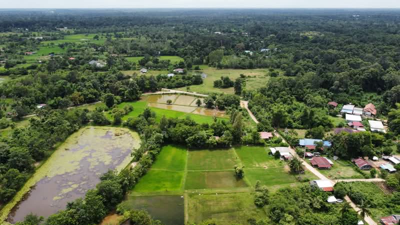 ขายบ้านสวน ในเมืองอุบลราชธานี 1 ไร่ 81.1 ตร.ว, Ubon Ratchathani, ชยางกูร,พีรพล, Ki Lek, Muang Ubon Ratchathani, Ubon Ratchathani, 3 Bedrooms, 1,924 sqm, Single Detached House For Sale, by Wasan Wasati, 500490764 - DDproperty.com