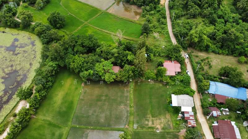ขายบ้านสวน ในเมืองอุบลราชธานี 1 ไร่ 81.1 ตร.ว., อุบลราชธานี, ชยางกูร,พีรพล, ขี้เหล็ก, เมืองอุบลราชธานี, อุบลราชธานี, 1,924 ตร.ม., บ้านเดี่ยว ขาย, โดย วสันต์ วะสะติ, 500490764 - DDproperty.com