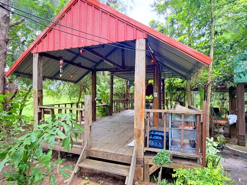 ขายบ้านสวน ในเมืองอุบลราชธานี 1 ไร่ 81.1 ตร.ว, Ubon Ratchathani, ชยางกูร,พีรพล, Ki Lek, Muang Ubon Ratchathani, Ubon Ratchathani, 3 Bedrooms, 1,924 sqm, Single Detached House For Sale, by Wasan Wasati, 500490764 - DDproperty.com