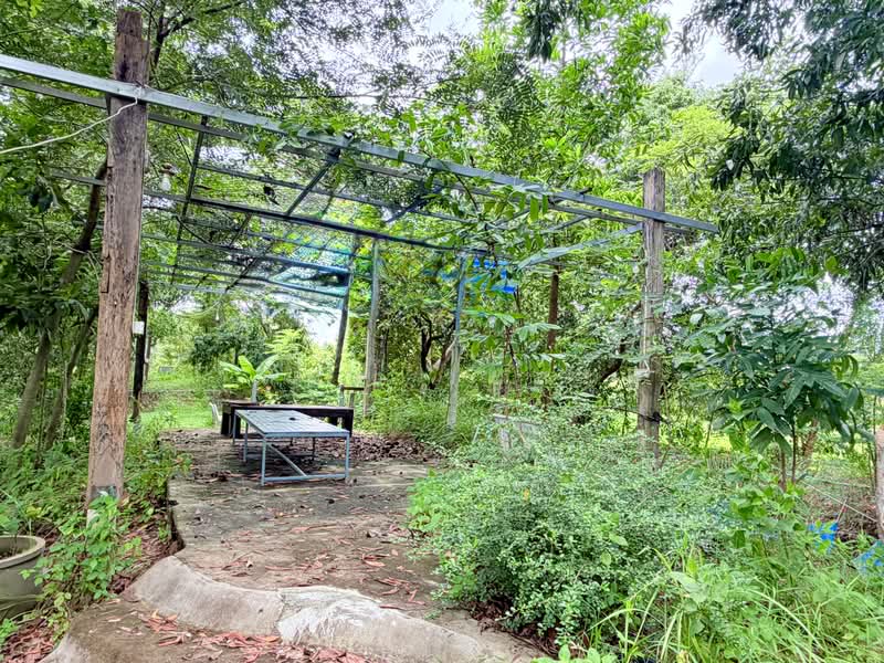 ขายบ้านสวน ในเมืองอุบลราชธานี 1 ไร่ 81.1 ตร.ว, Ubon Ratchathani, ชยางกูร,พีรพล, Ki Lek, Muang Ubon Ratchathani, Ubon Ratchathani, 3 Bedrooms, 1,924 sqm, Single Detached House For Sale, by Wasan Wasati, 500490764 - DDproperty.com