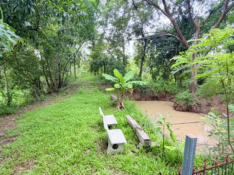 ขายบ้านสวน ต. ขามใหญ่ ในเมืองอุบลราชธานี 1 ไร่ 81.1 ตร.ว, Ubon Ratchathani, ชยางกูร,พีรพล, Ki Lek, Muang Ubon Ratchathani, Ubon Ratchathani, 3 Bedrooms, 1,924 sqm, Single Detached House For Sale, by Wasan Wasati, 500490764 - DDproperty.com