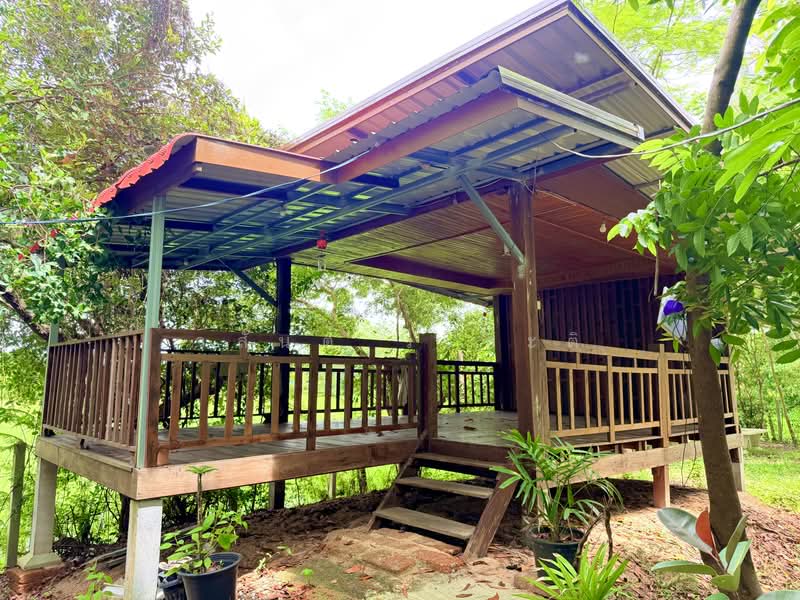 ขายบ้านสวน ต. ขามใหญ่ ในเมืองอุบลราชธานี 1 ไร่ 81.1 ตร.ว, Ubon Ratchathani, ชยางกูร,พีรพล, Ki Lek, Muang Ubon Ratchathani, Ubon Ratchathani, 3 Bedrooms, 1,924 sqm, Single Detached House For Sale, by Wasan Wasati, 500490764 - DDproperty.com
