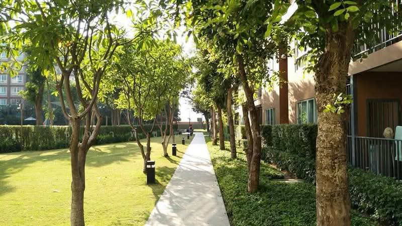 Baan Thew Lom Cha Am : บ้านทิวลม ชะอำ, เพชรบุรี, ซอยร่วมจิต ถนนเพชรเกษม, ชะอำ, เพชรบุรี, 31 ตร.ม., คอนโด ขาย, โดย ชญาพิชชา พันธกิจ, 500490797 - DDproperty.com