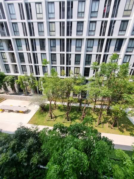 Noble Nue Cross Khu Khot, Pathum Thani, Khu Khot, Lam Luk Ka, Pathum Thani, Studio, 23 sqm, Condo For Rent, by ปริ่มพร เลขะวรกุล, 500490826 - DDproperty.com