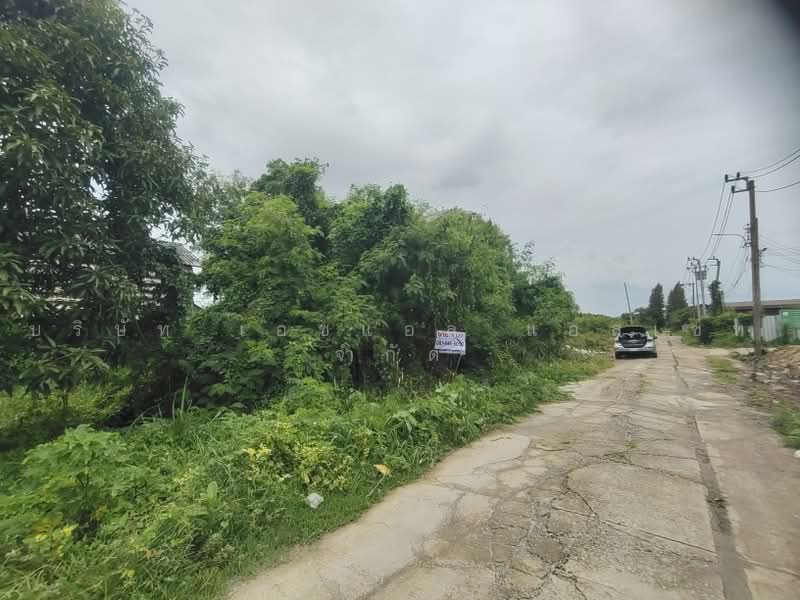 ที่ดินเปล่า 160 ตารางวา ซอย วัดลาดปลาดุก บางบัวทอง, Nonthaburi, Bang Rak Yai, Bang Bua Thong, Nonthaburi, , 640 sqm, Land For Sale, by บริษัท เอชแอล แอสเซท จำกัด, 500490910 - DDproperty.com