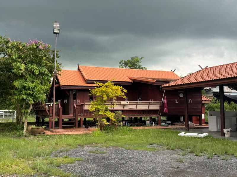 ขาย บ้านเรือนไทยชั้นเดี่ยว พื้นยกสูง 2 ห้องนอน 2 ห้องน้ำแอร์ครบทุกห้องมีครัวในครัวนอก, นครนายก, ท่าช้าง, เมืองนครนายก, นครนายก, 1,320 ตร.ม., บ้านเดี่ยว ขาย, โดย พรกิตตา นิธินันท์ปภา, 500490923 - DDproperty.com