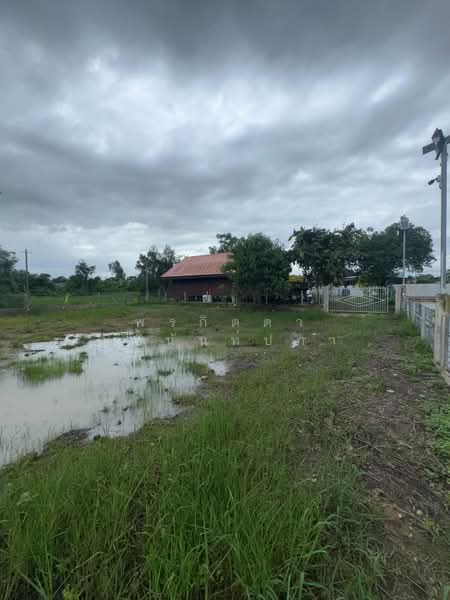 ขาย บ้านเรือนไทยชั้นเดี่ยว พื้นยกสูง 2 ห้องนอน 2 ห้องน้ำแอร์ครบทุกห้องมีครัวในครัวนอก, นครนายก, ท่าช้าง, เมืองนครนายก, นครนายก, 1,320 ตร.ม., บ้านเดี่ยว ขาย, โดย พรกิตตา นิธินันท์ปภา, 500490923 - DDproperty.com