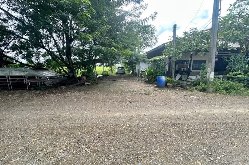 ซอยคลองสี่ตะวันออก 51, ปทุมธานี, คลองสี่, คลองหลวง, ปทุมธานี, 800 ตร.ม., ที่ดิน ขาย, โดย คุณนา, 500490937 - DDproperty.com