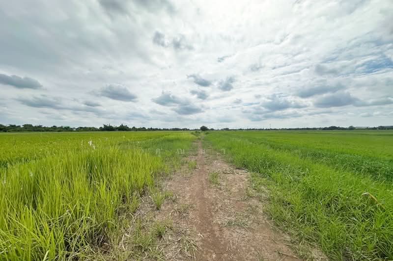 ซอยคลองสี่ตะวันออก 51, ปทุมธานี, คลองสี่, คลองหลวง, ปทุมธานี, 800 ตร.ม., ที่ดิน ขาย, โดย คุณนา, 500490937 - DDproperty.com