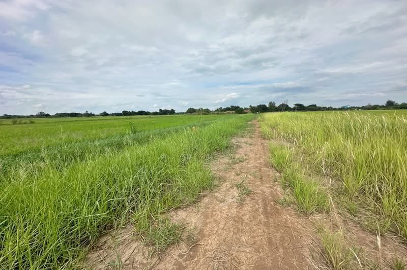 ซอยคลองสี่ตะวันออก 51, ปทุมธานี, คลองสี่, คลองหลวง, ปทุมธานี, 800 ตร.ม., ที่ดิน ขาย, โดย คุณนา, 500490937 - DDproperty.com