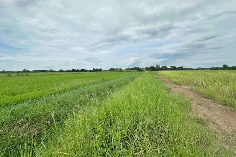 ซอยคลองสี่ตะวันออก 51, Pathum Thani, Khlong Si, Khlong Luang, Pathum Thani, , 800 sqm, Land For Sale, by คุณนา, 500490937 - DDproperty.com