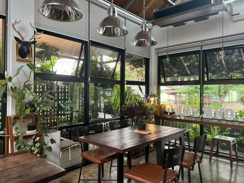 Coffee shop Lamphun, Lamphun, Umong, Muang Lamphun, Lamphun, , 132 sqm, Business For Sale, by Shori Asset Group Co., Ltd., 500491006 - DDproperty.com
