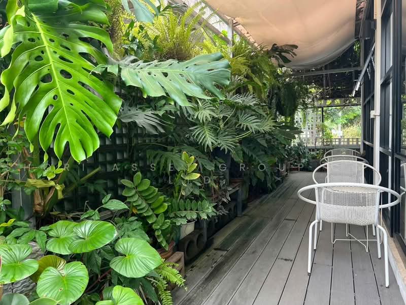 Coffee shop Lamphun, Lamphun, Umong, Muang Lamphun, Lamphun, , 132 sqm, Business For Sale, by Shori Asset Group Co., Ltd., 500491006 - DDproperty.com
