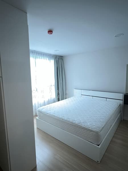 Mayfair Place Sukhumvit 64, Bangkok, Sukhumvit 64 Road, Bang Chak, Phra Khanong, Bangkok, 2 Bedrooms, 74 sqm, Condo For Rent, by Chananya Watanapa, 500491051 - DDproperty.com