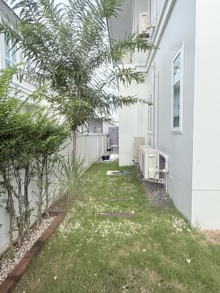 Suetrong Premium I AM Rama 2-Samae Dam, กรุงเทพ, 481 Rama 2 Road, แสมดำ, บางขุนเทียน, กรุงเทพ, 361 ตร.ม., บ้านเดี่ยว ให้เช่า, โดย คุณรวีวรรณ อู่เงิน, 500491086 - DDproperty.com