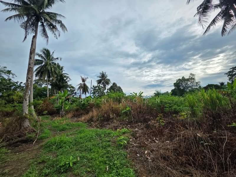 12.74108835,100.94137064, Chon Buri (Pattaya), Bang Sa-re, Sattahip, Chon Buri (Pattaya), , 1,636 sqm, Land For Sale, by Khun Korn, 500491093 - DDproperty.com