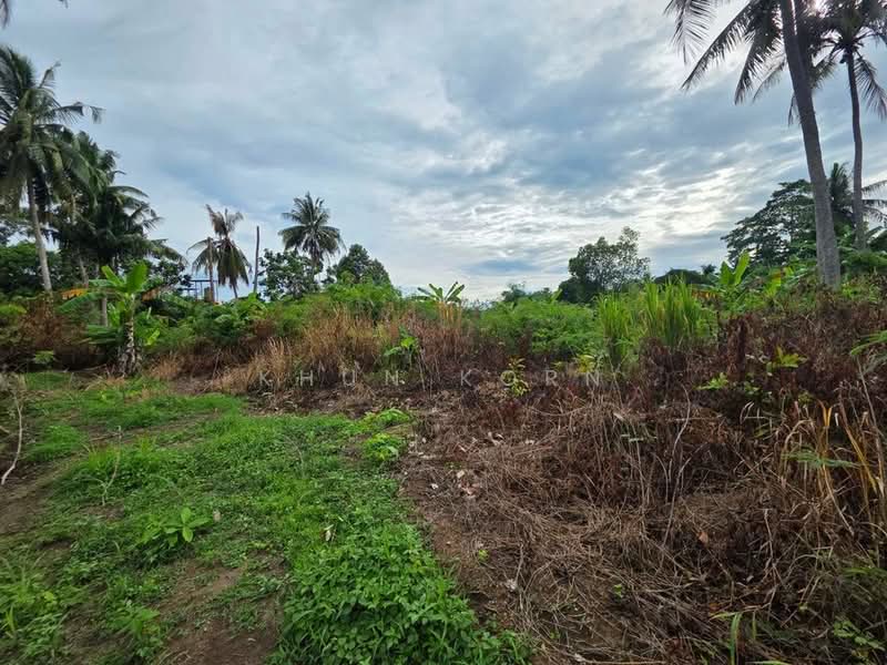 12.74108835,100.94137064, Chon Buri (Pattaya), Bang Sa-re, Sattahip, Chon Buri (Pattaya), , 1,636 sqm, Land For Sale, by Khun Korn, 500491093 - DDproperty.com