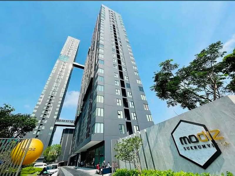 Modiz Sukhumvit 50, Bangkok, Soi Sukhumvit 50, Phra Kanong, Khlong Toei, Bangkok, 1 Bedroom, 29 sqm, Condo For Rent, by คุณรวีวรรณ อู่เงิน, 500491143 - DDproperty.com