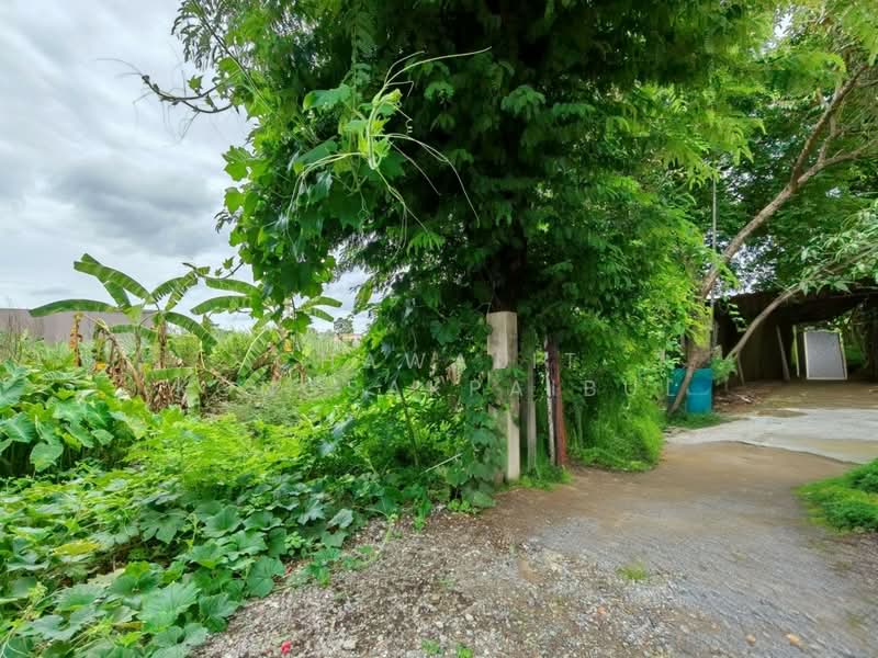 For Sale: Prime Location Land, 1 Rai 1 Square Wa, Soi Prasert Manukit 12, connecting to Soi Lad Pla, Bangkok, เกษตร-นวมินทร์, Chorake Bua, Lat Phrao, Bangkok, , 1,604 sqm, Land For Sale, by CHAWALIT KONGSAKPAIBUL, 500491166 - DDproperty.com