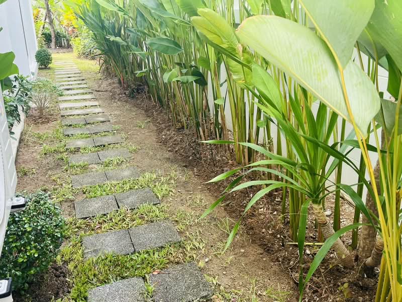 Suriyaporn Place : หมู่บ้านสุริยพรเพลส, ภูเก็ต, ฉลอง, เมืองภูเก็ต, ภูเก็ต, 156 ตร.ม., บ้านเดี่ยว ให้เช่า, โดย Mei Mei Prime, 500491202 - DDproperty.com
