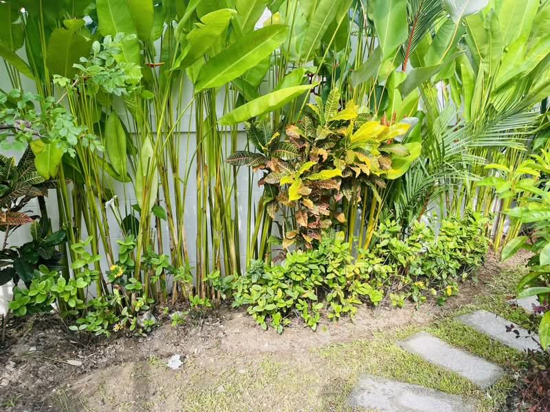 Suriyaporn Place, Phuket, Chalong, Muang Phuket, Phuket, 3 Bedrooms, 156 sqm, Single Detached House For Rent, by Mei Mei Prime, 500491202 - DDproperty.com
