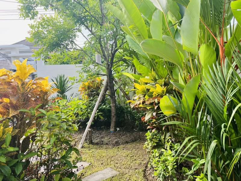 Suriyaporn Place, Phuket, Chalong, Muang Phuket, Phuket, 3 Bedrooms, 156 sqm, Single Detached House For Rent, by Mei Mei Prime, 500491202 - DDproperty.com