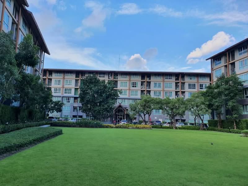 Dcondo Campus Resort Chiang Mai, Chiang Mai, Suthep, Su Thep, Muang Chiang Mai, Chiang Mai, Studio, 30 sqm, Condo For Sale, by วราพร ตางจงราช, 500491247 - DDproperty.com
