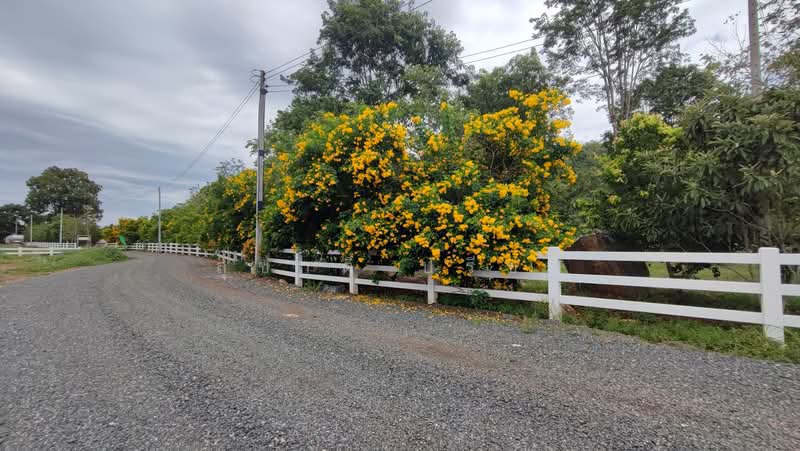 ปากช่อง, Nakhon Ratchasima, Nong Sarai, Pak Chong, Nakhon Ratchasima, , 21,768 sqm, Land For Sale, by สุชาติ ปรีชา, 500491257 - DDproperty.com