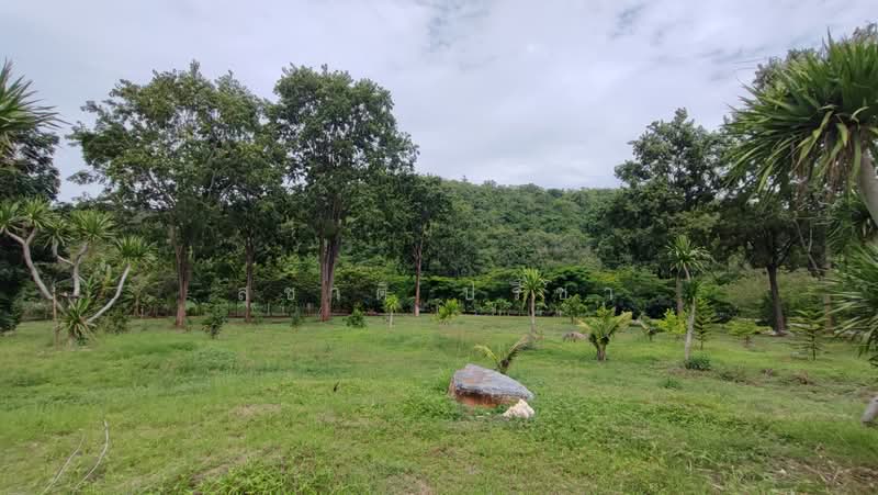 ปากช่อง, Nakhon Ratchasima, Nong Sarai, Pak Chong, Nakhon Ratchasima, , 21,768 sqm, Land For Sale, by สุชาติ ปรีชา, 500491257 - DDproperty.com
