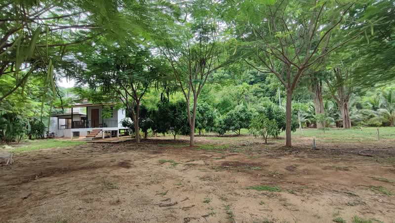 ปากช่อง, Nakhon Ratchasima, Nong Sarai, Pak Chong, Nakhon Ratchasima, , 21,768 sqm, Land For Sale, by สุชาติ ปรีชา, 500491257 - DDproperty.com