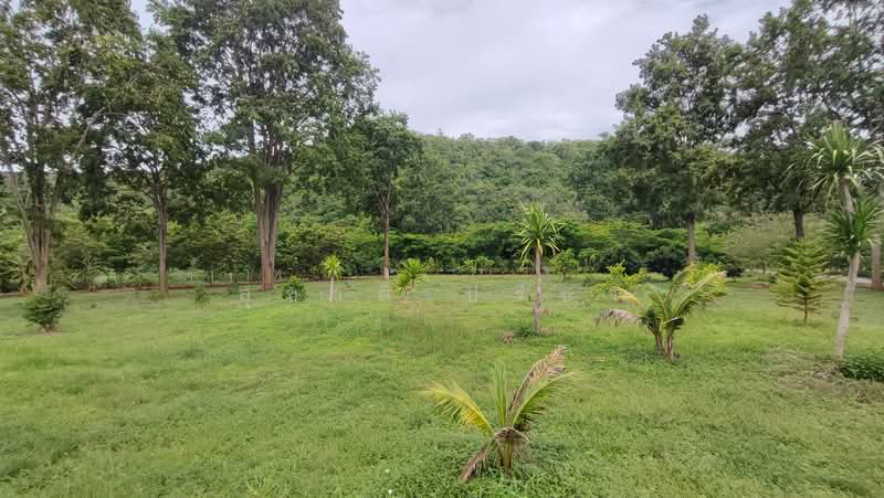 ปากช่อง, Nakhon Ratchasima, Nong Sarai, Pak Chong, Nakhon Ratchasima, , 21,768 sqm, Land For Sale, by สุชาติ ปรีชา, 500491257 - DDproperty.com