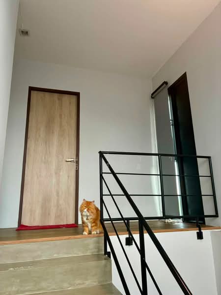House Kanchana – Bangyai, Nonthaburi, วัดพระเงิน, Plai Bang, Bang Kruai, Nonthaburi, 4 Bedrooms, 200 sqm, Single Detached House For Rent, by ปรินทร์ญาดา ชิณโชติ, 500491267 - DDproperty.com