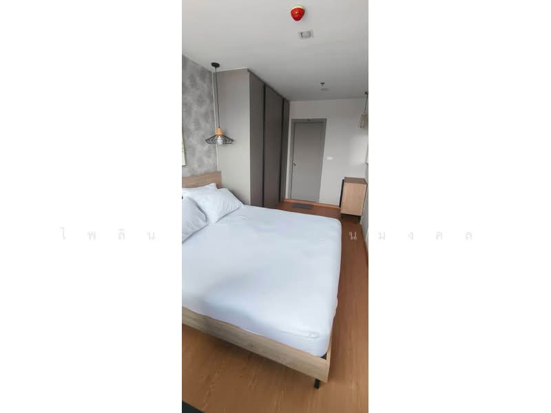 IDEO Sukhumvit 93, Bangkok, 2331 Soi Sukhumvit 93, Bang Chak, Phra Khanong, Bangkok, 2 Bedrooms, 53 sqm, Condo For Rent, by ไพลิน เลิศวัฒนมงคล, 500491298 - DDproperty.com