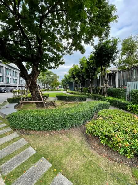 Baan Klang Muang Ngamwongwan, Bangkok, Soi Ngamwongwan 47 Yeak 6-11, Thung Song Hong, Lak Si, Bangkok, 3 Bedrooms, 149 sqm, Townhouse For Rent, by ปรินทร์ญาดา ชิณโชติ, 500491323 - DDproperty.com