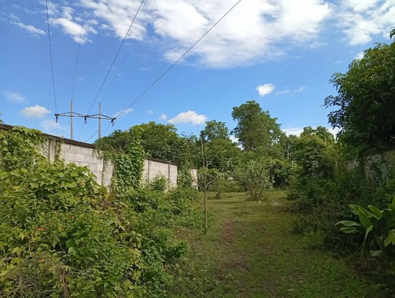 ที่ดินบ้านโป่ง ราชบุรี, Ratchaburi, Pak Raet, Ban Pong, Ratchaburi, , 1,781 sqm, Land For Sale, by The Best Property เอ็กซ์, 500491518 - DDproperty.com