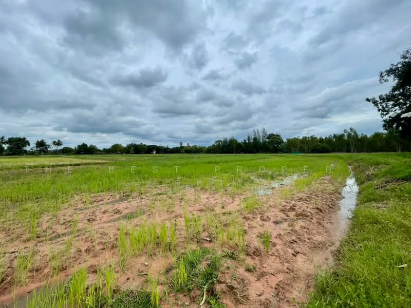 ที่ดินโนนศิลา ขอนแก่น, Khon Kaen, Non Daeng, Non Sila, Khon Kaen, , 13,332 sqm, Land For Sale, by The Best Property อัคร, 500491519 - DDproperty.com