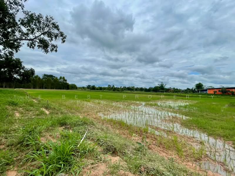 ที่ดินโนนศิลา ขอนแก่น, Khon Kaen, Non Daeng, Non Sila, Khon Kaen, , 13,332 sqm, Land For Sale, by The Best Property อัคร, 500491519 - DDproperty.com