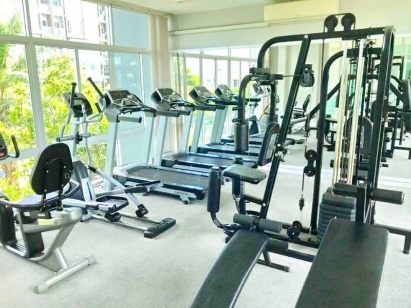 ไม่พบโครงการ, Chiang Mai, มหิดล ช้างคลาน, Chang Klan, Muang Chiang Mai, Chiang Mai, 3 Bedrooms, 155 sqm, Townhouse For Rent, by ณัฐพงศ์ สุนทรอรุณ, 500491534 - DDproperty.com