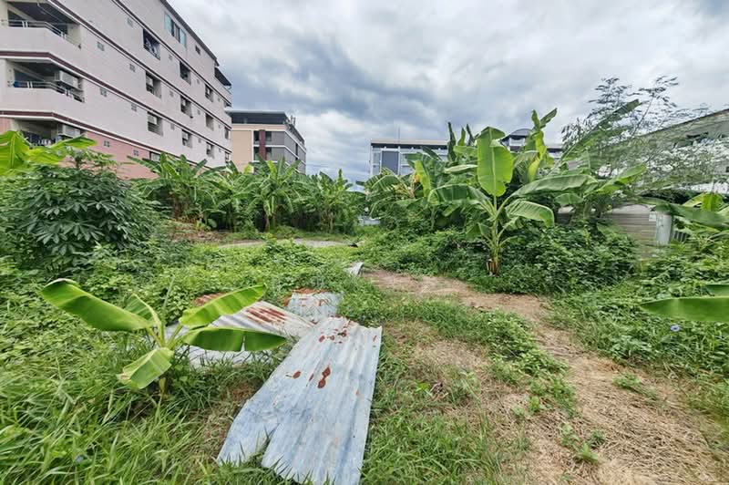 ซอยแจ้งวัฒนะ-ปากเกร็ด 26, นนทบุรี, ถนนแจ้งวัฒนะ, บางตลาด, ปากเกร็ด, นนทบุรี, 804 ตร.ม., ที่ดิน ขาย, โดย คุณเจษ, 500491544 - DDproperty.com