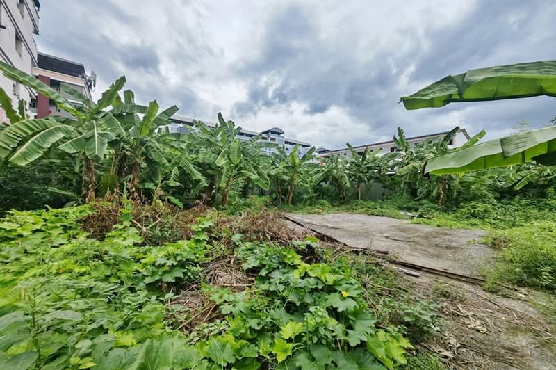 ซอยแจ้งวัฒนะ-ปากเกร็ด 26, นนทบุรี, ถนนแจ้งวัฒนะ, บางตลาด, ปากเกร็ด, นนทบุรี, 804 ตร.ม., ที่ดิน ขาย, โดย คุณเจษ, 500491544 - DDproperty.com